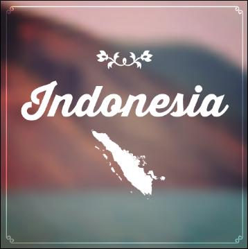 IndonesiaLogo2